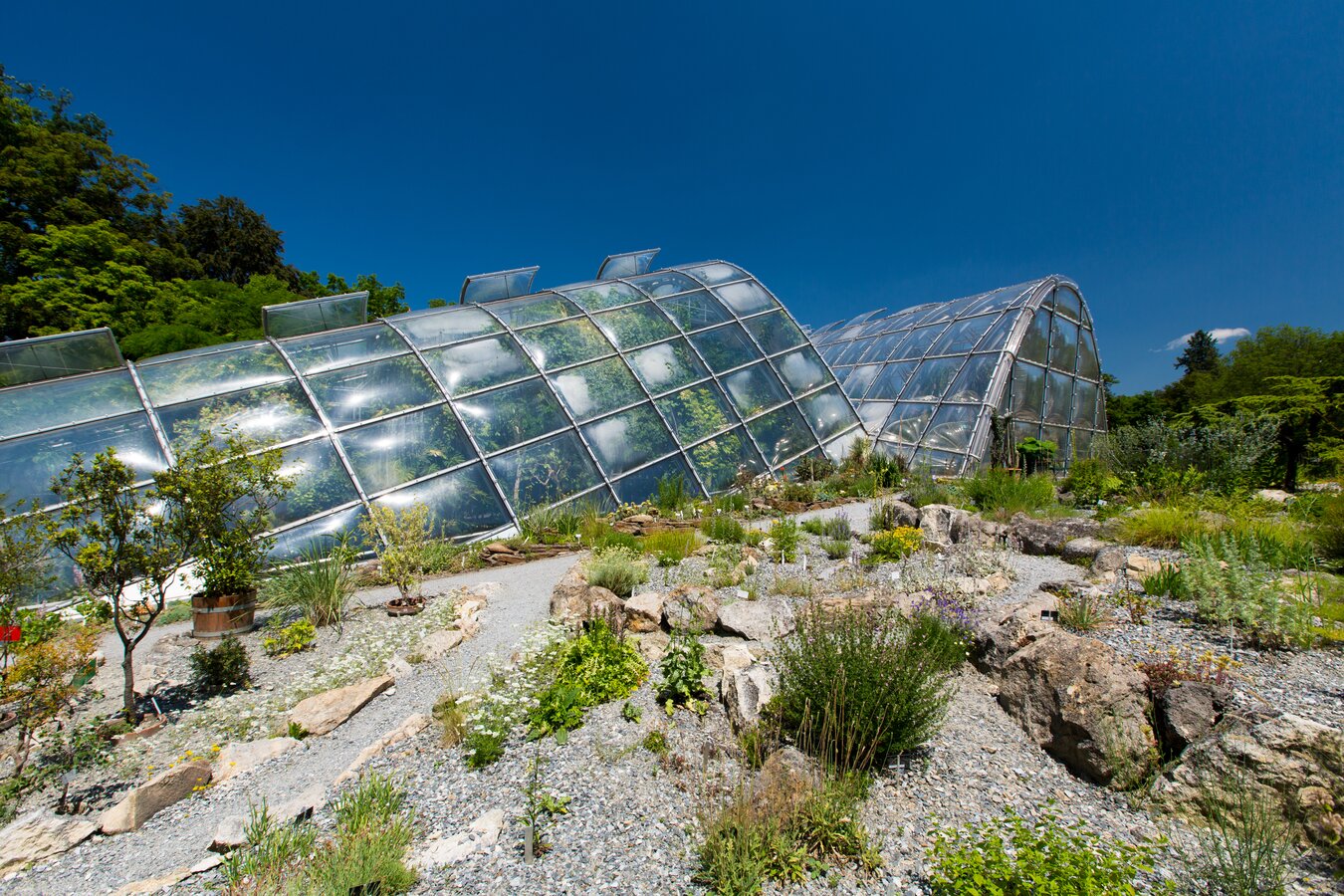 Botanischer Garten Graz Infos, Öffnungszeiten & Eintritt